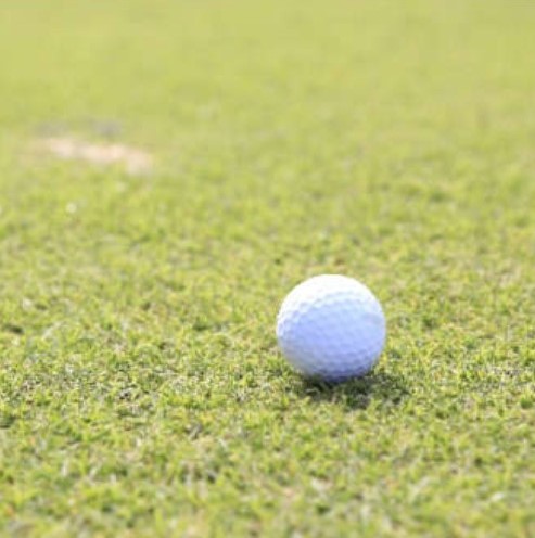 東京スポーツ部会｜ゴルフコンペ in 横浜